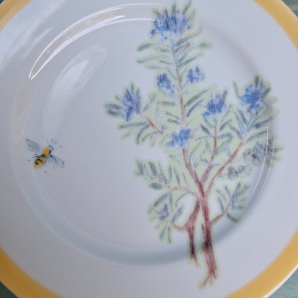 2 Salad Plates Flowering Herbs Williams Sonoma Butterfly Bumblebee Honey Bee Set - Picture 5 of 15